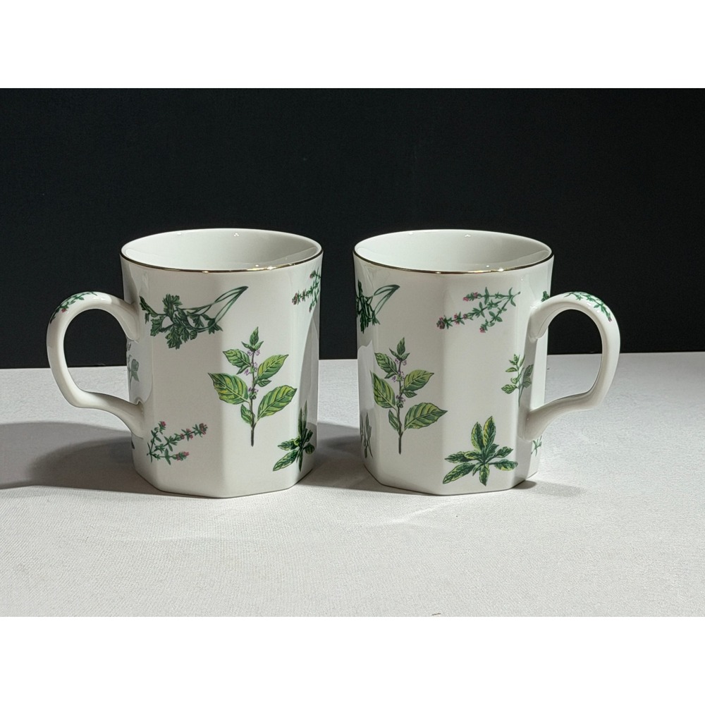 Andrea by Sadek Plant Design with Gold Trim Octagonal Coffee Mugs Set of 2